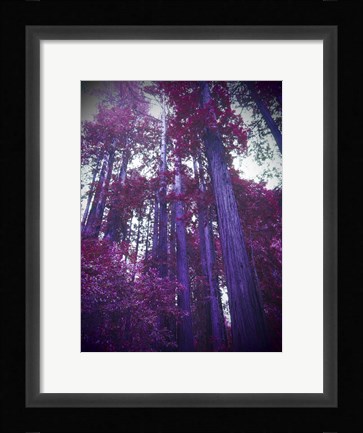 Framed Purple Tree Print
