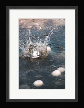 Framed Snowball Print