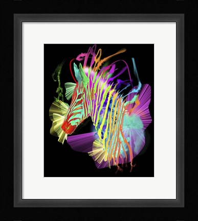 Framed Zebra Head 2 Print