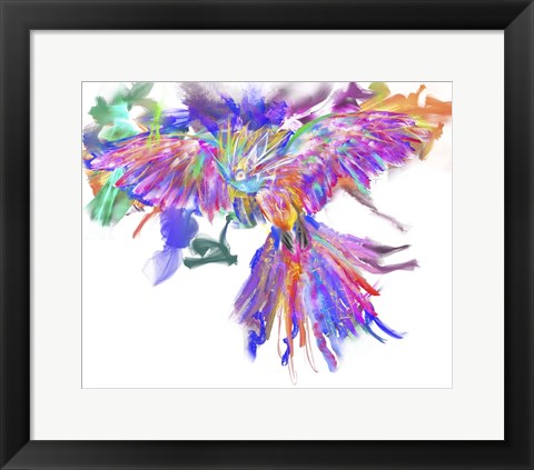 Framed Parrot Print