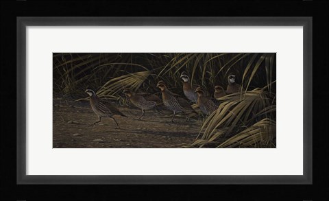 Framed Breaking Cover - Bobwhites Print