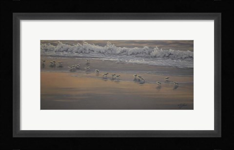 Framed Morning Surf And Sanderlings Print