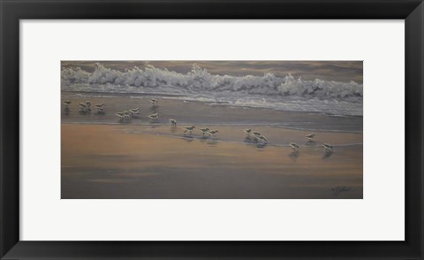 Framed Morning Surf And Sanderlings Print