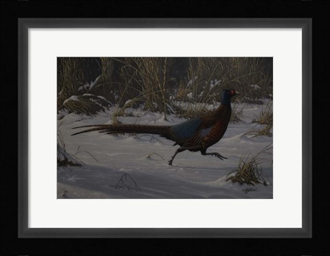 Framed Strauch Pheasant Print