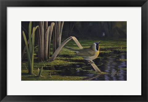 Framed Yellow-Throat Print