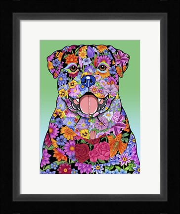 Framed Flowers Rottweiler Print