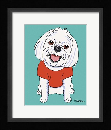 Framed Maltese Print