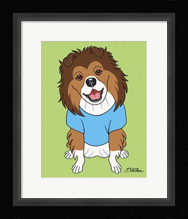 Framed Shetland Sheepdog Print
