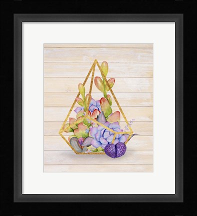 Framed Rustic Succulent Terrarium Print