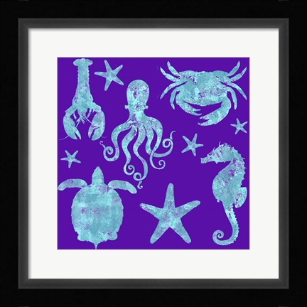 Framed Sponge Marine Life Grouping Print