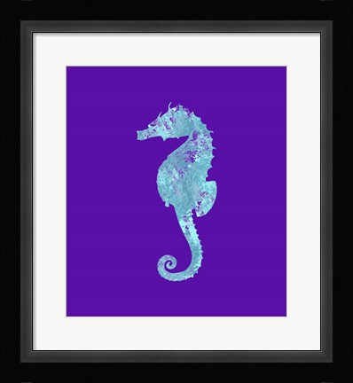 Framed Sponge Seahorse Aqua Print