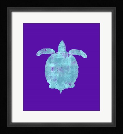 Framed Sponge Turtle Aqua Print