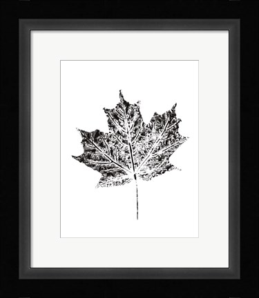 Framed Harvest Sentiments I BW no Words Print