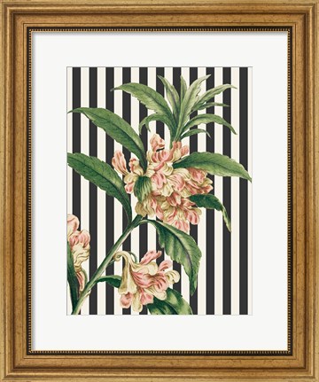Framed Herbal Botanical XXVI Bold Print