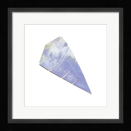 Framed Seashell 3 Print