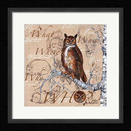Framed Owl In The Wildnerness Print