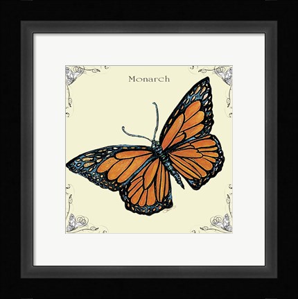 Framed Butterfly Monarch Print