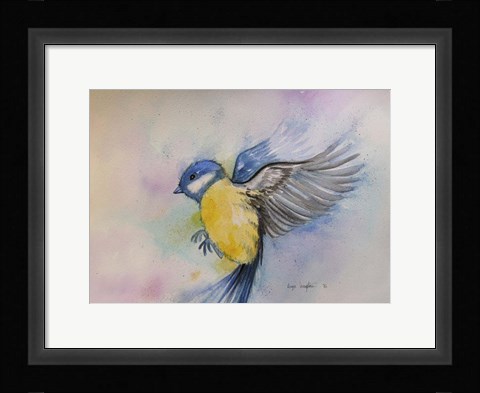 Framed Bluebird Print