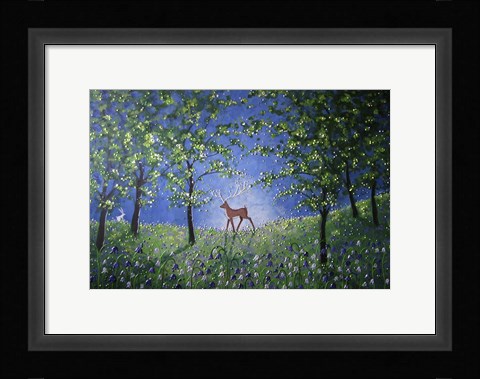 Framed Evening In The Bluebell Wood Print