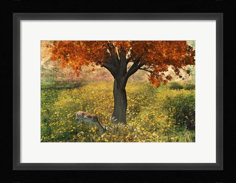 Framed Nature Color Print