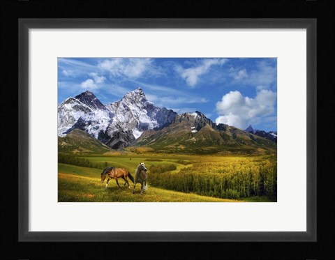 Framed Wild Nature Print