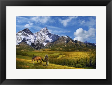 Framed Wild Nature Print