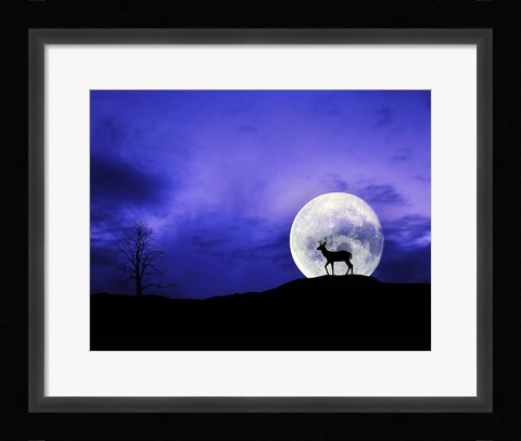 Framed Big Moon Print