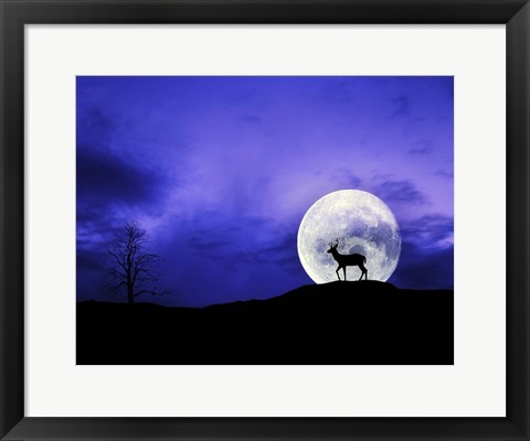 Framed Big Moon Print