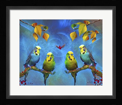 Framed Color Birds Print