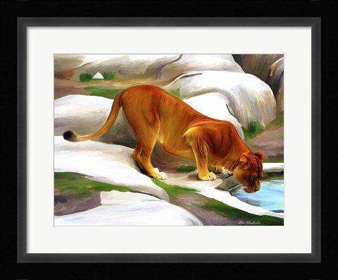 Framed Lioness Print