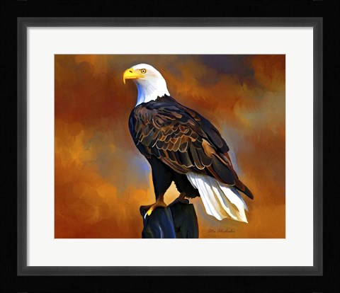 Framed Eagle Print