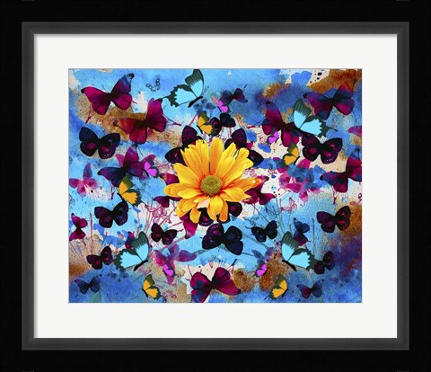 Framed Daisy And Butterflies Print