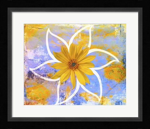 Framed Daisy Print