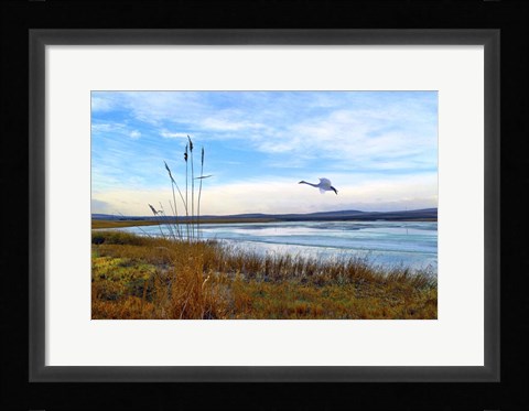 Framed Wild Nature 2 Print