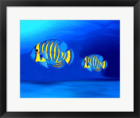 Framed Colorful Fishes Print