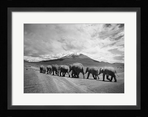 Framed Stay In Line Print