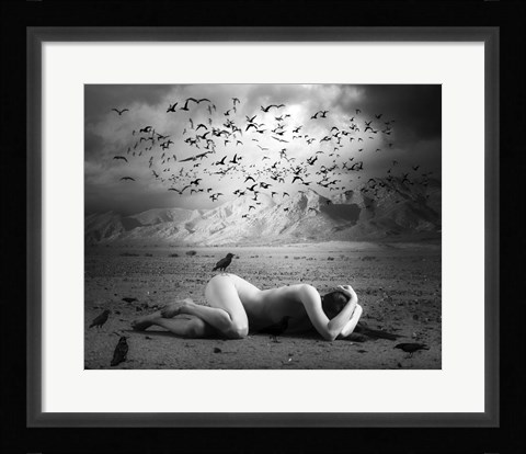 Framed Black Bird Land Print