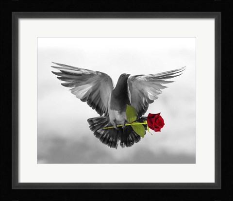 Framed Love Bird Print