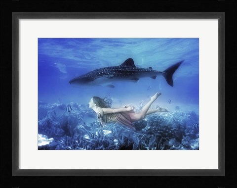 Framed Swim with Tiger Shark Print