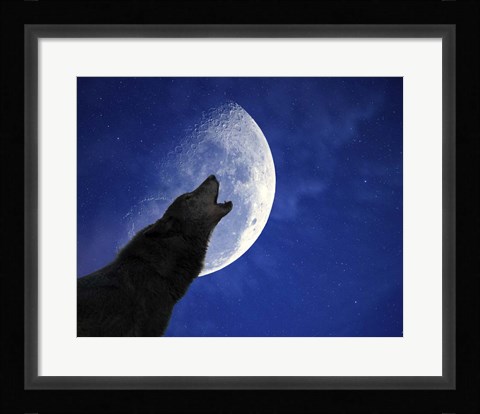 Framed Wolf Night Print
