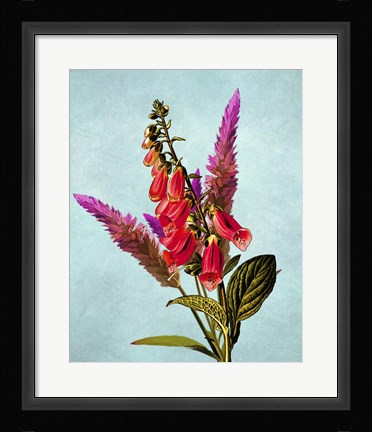 Framed Color Leaves B Print