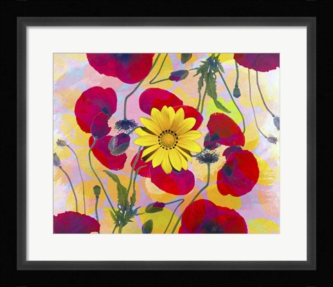 Framed Floral Design H Print
