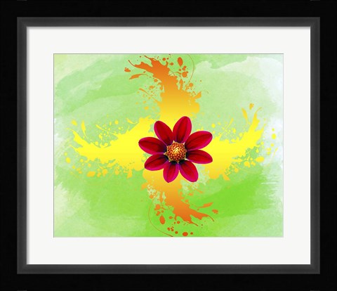 Framed Floral Design K Print