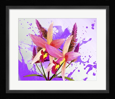 Framed Floral Design V Print