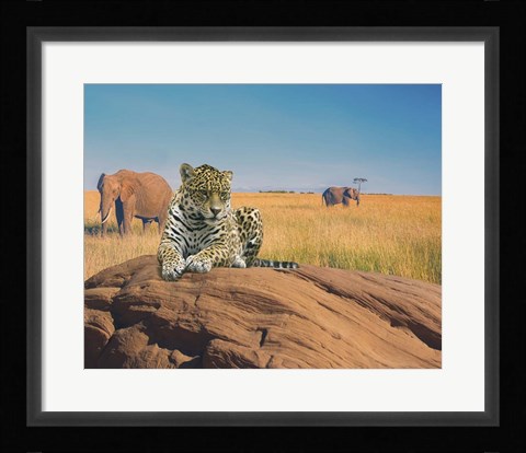 Framed Leopard Print