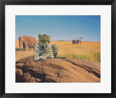 Framed Leopard Print