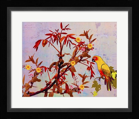 Framed Parrot in Garden Print