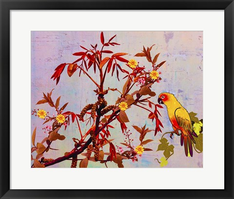 Framed Parrot in Garden Print