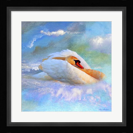 Framed Beautiful Swan 2A Print