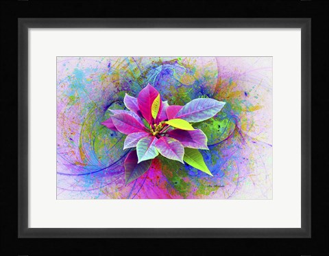 Framed Flower Design 7N Print